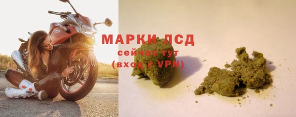 молекула духа Волосово