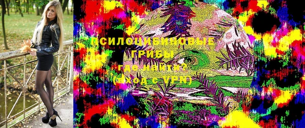 молекула духа Волосово