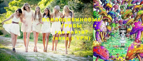 молекула духа Волосово