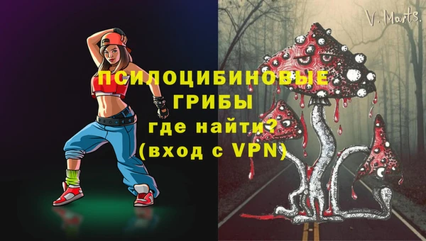 молекула духа Волосово