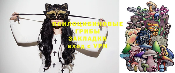 jwh Снежногорск